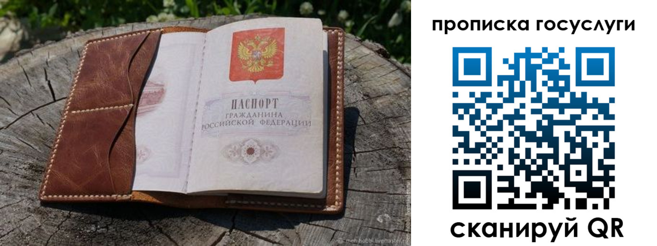 прописка для школы в Белгородской области